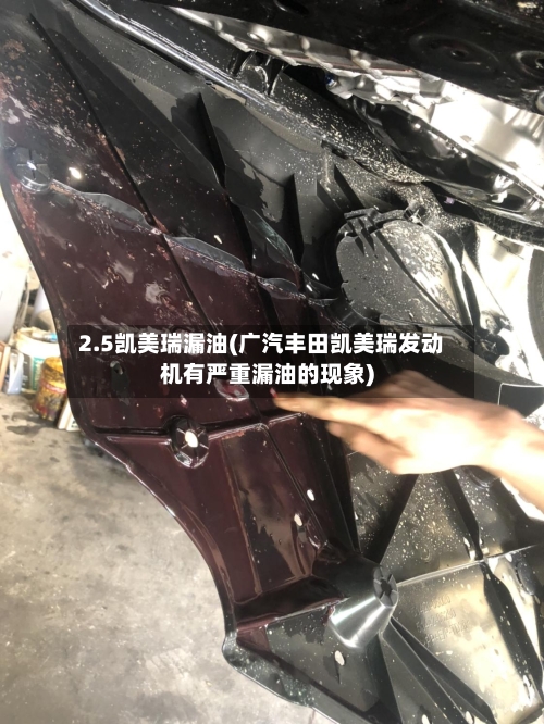 2.5凯美瑞漏油(广汽丰田凯美瑞发动机有严重漏油的现象)-第3张图片
