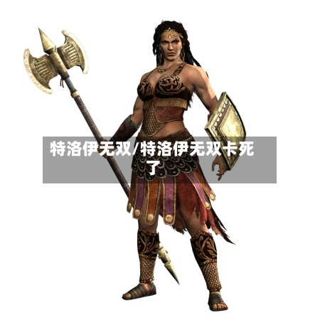 特洛伊无双/特洛伊无双卡死了-第1张图片