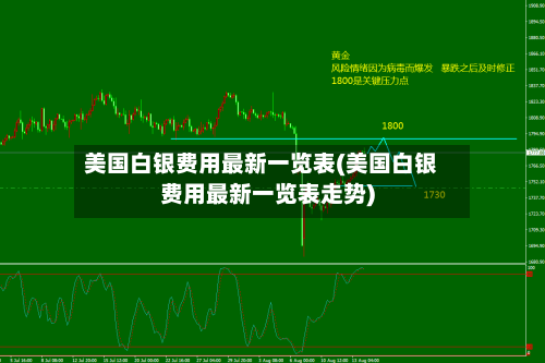 美国白银费用最新一览表(美国白银费用最新一览表走势)-第1张图片