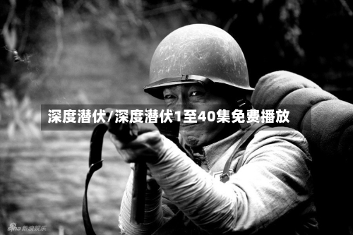 深度潜伏/深度潜伏1至40集免费播放-第1张图片
