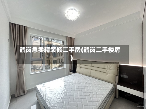鹤岗急卖精装修二手房(鹤岗二手楼房)-第3张图片