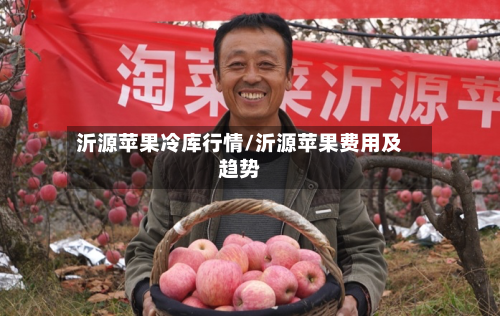 沂源苹果冷库行情/沂源苹果费用及趋势-第1张图片
