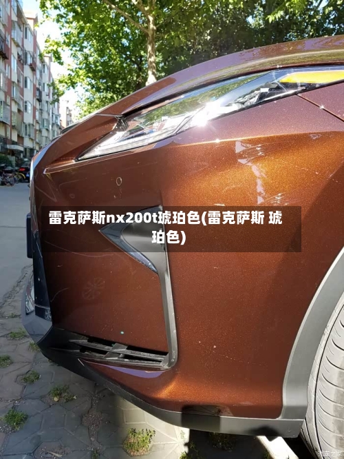 雷克萨斯nx200t琥珀色(雷克萨斯 琥珀色)-第2张图片