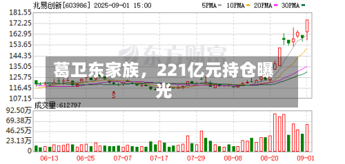 葛卫东家族	，221亿元持仓曝光-第2张图片
