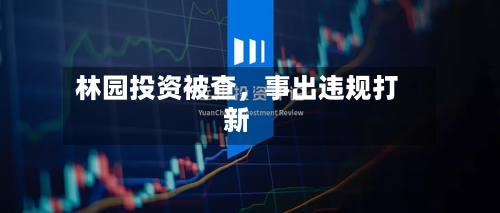林园投资被查，事出违规打新-第1张图片