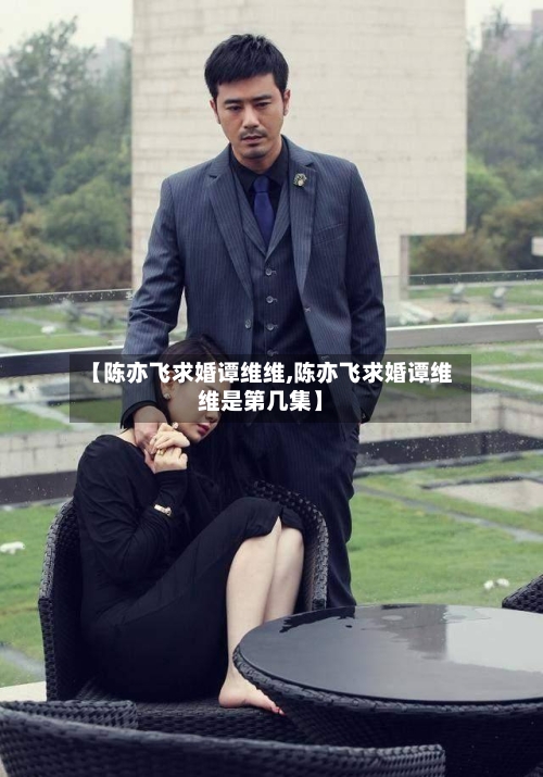 【陈亦飞求婚谭维维,陈亦飞求婚谭维维是第几集】-第1张图片