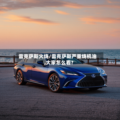 雷克萨斯火烧/雷克萨斯严重烧机油,大家怎么看?-第3张图片