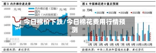 今日棉价下跌/今日棉花费用行情预测-第1张图片