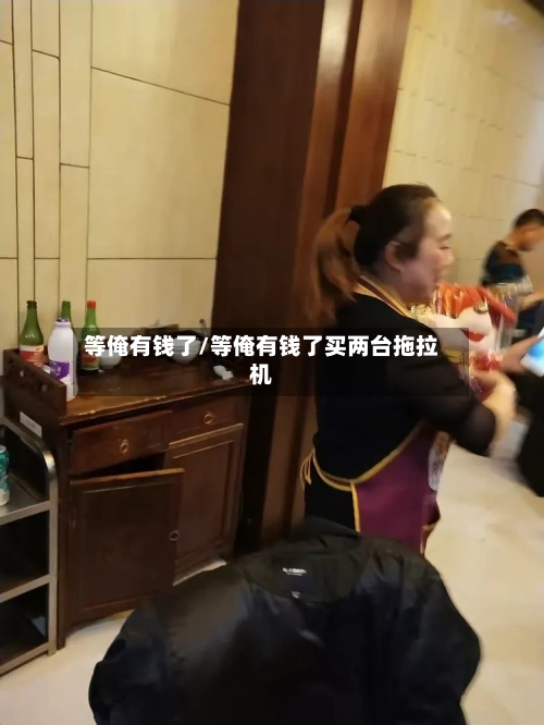 等俺有钱了/等俺有钱了买两台拖拉机-第1张图片