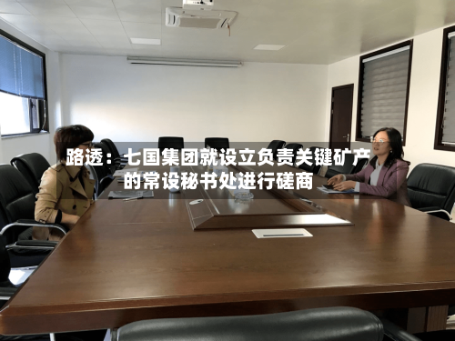 路透：七国集团就设立负责关键矿产的常设秘书处进行磋商-第2张图片