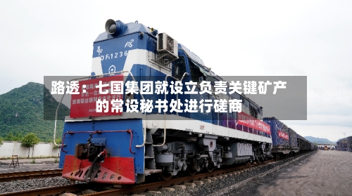 路透：七国集团就设立负责关键矿产的常设秘书处进行磋商-第3张图片