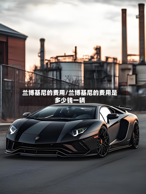 兰博基尼的费用/兰博基尼的费用是多少钱一辆-第2张图片