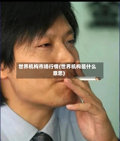 世界机构市场行情(世界机构是什么意思)-第1张图片