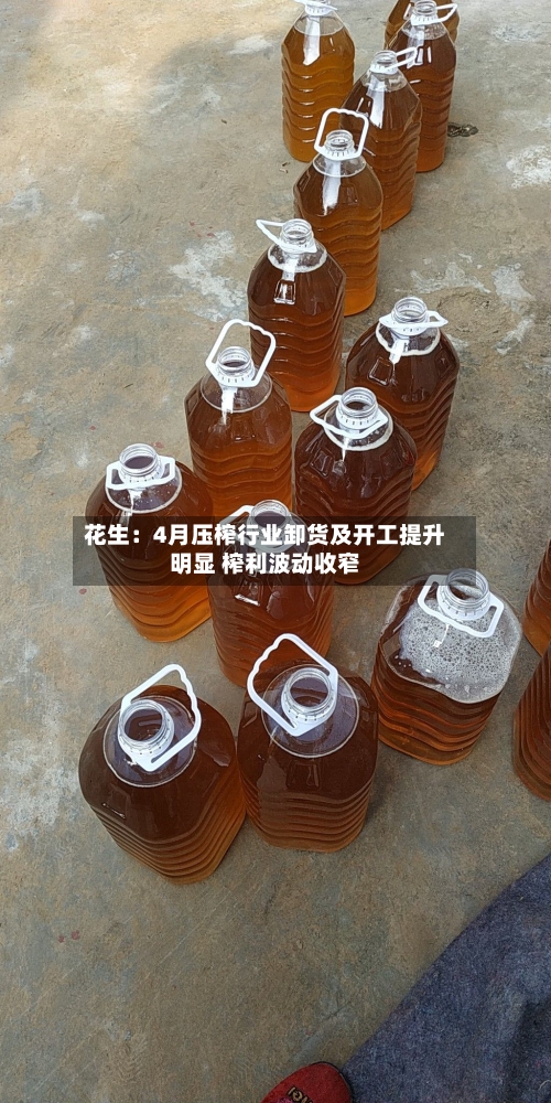 花生：4月压榨行业卸货及开工提升明显 榨利波动收窄-第1张图片