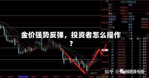 金价强势反弹，投资者怎么操作？-第2张图片