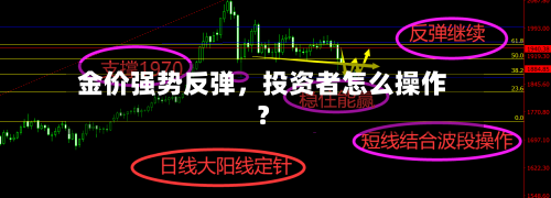 金价强势反弹，投资者怎么操作？-第1张图片