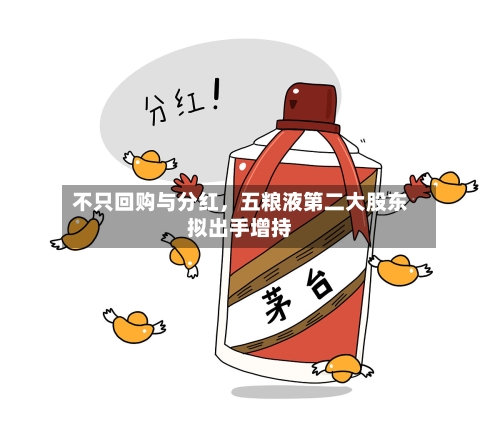 不只回购与分红，五粮液第二大股东拟出手增持-第2张图片