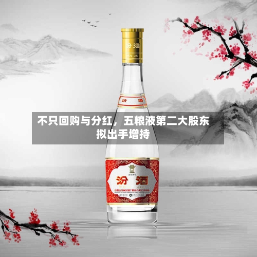 不只回购与分红，五粮液第二大股东拟出手增持-第1张图片