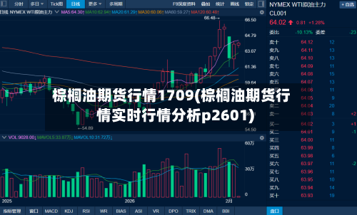 棕榈油期货行情1709(棕榈油期货行情实时行情分析p2601)-第2张图片