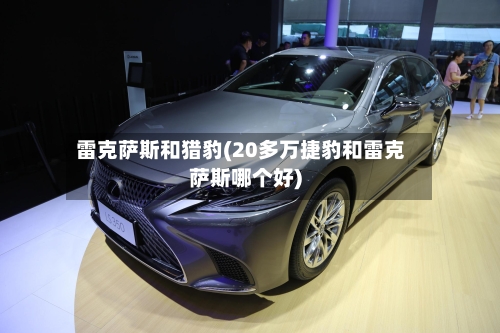 雷克萨斯和猎豹(20多万捷豹和雷克萨斯哪个好)-第2张图片