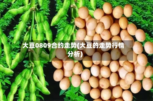 大豆0809合约走势(大豆的走势行情分析)-第3张图片