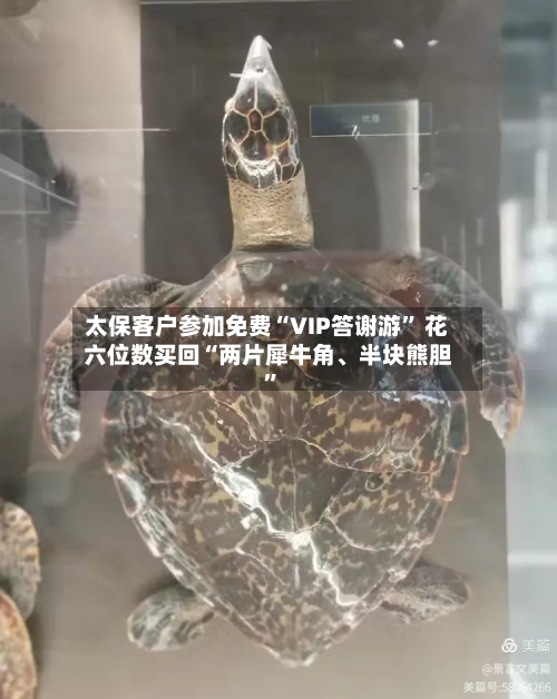 太保客户参加免费“VIP答谢游	” 花六位数买回“两片犀牛角	、半块熊胆”-第1张图片