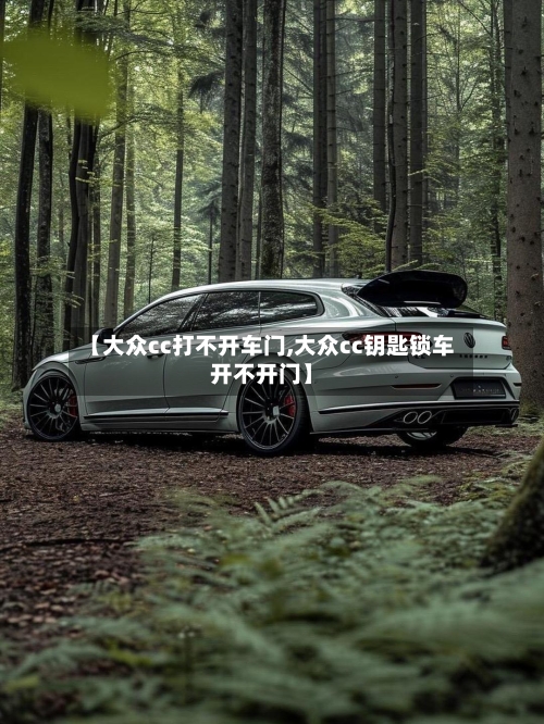 【大众cc打不开车门,大众cc钥匙锁车开不开门】-第2张图片