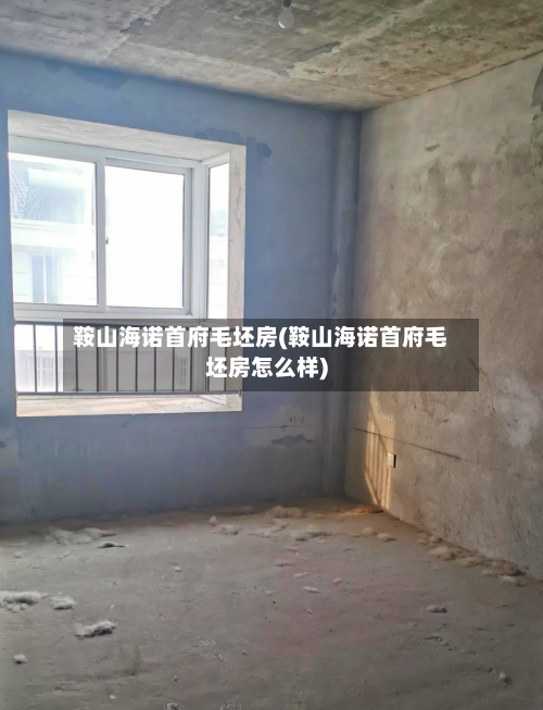 鞍山海诺首府毛坯房(鞍山海诺首府毛坯房怎么样)-第3张图片