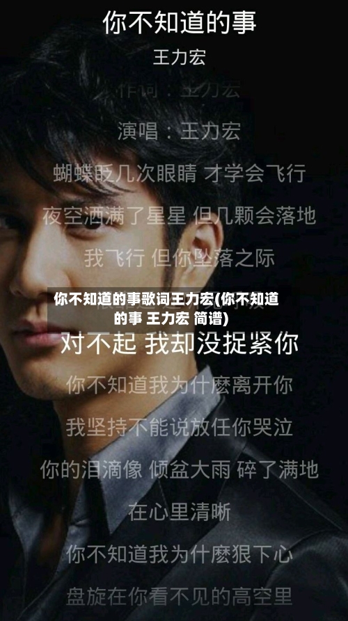 你不知道的事歌词王力宏(你不知道的事 王力宏 简谱)-第2张图片