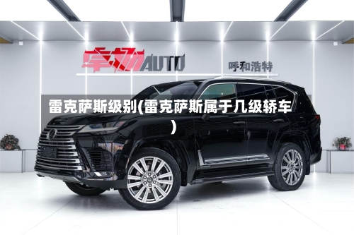 雷克萨斯级别(雷克萨斯属于几级轿车)-第1张图片