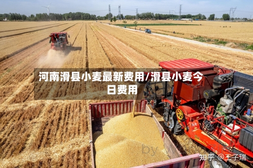 河南滑县小麦最新费用/滑县小麦今日费用-第1张图片