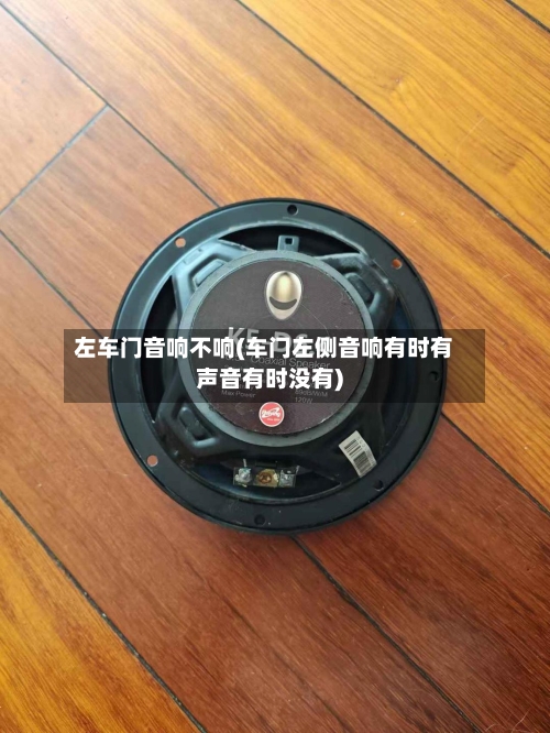 左车门音响不响(车门左侧音响有时有声音有时没有)-第1张图片