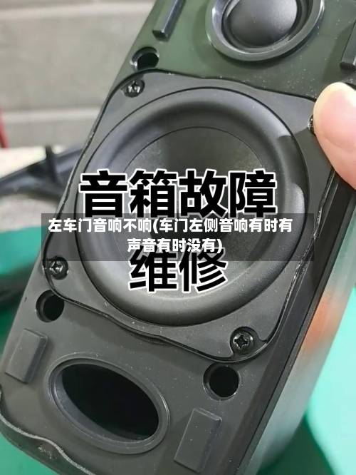 左车门音响不响(车门左侧音响有时有声音有时没有)-第3张图片