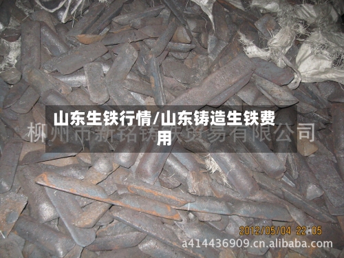 山东生铁行情/山东铸造生铁费用-第3张图片