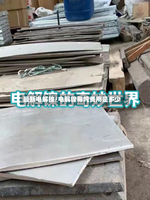 最新电解镍/电解镍每吨费用是多少-第3张图片