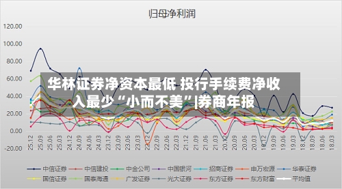 华林证券净资本最低 投行手续费净收入最少“小而不美”|券商年报-第1张图片