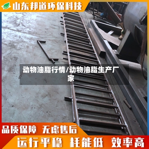 动物油脂行情/动物油脂生产厂家-第1张图片