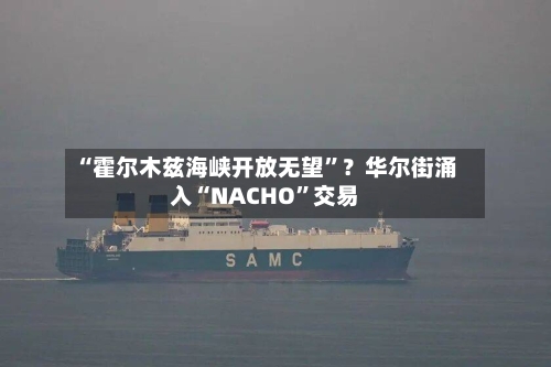 “霍尔木兹海峡开放无望”？华尔街涌入“NACHO	”交易-第3张图片