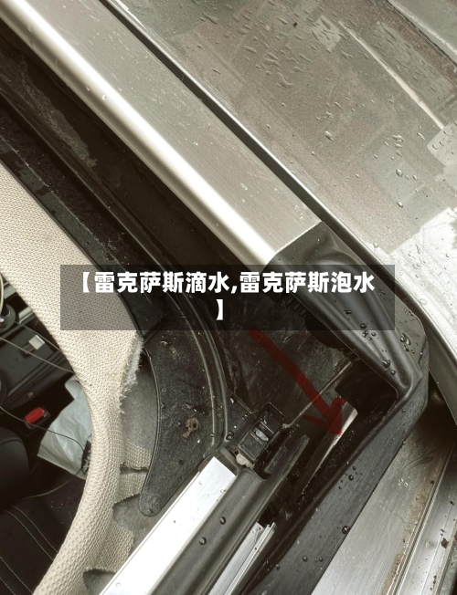 【雷克萨斯滴水,雷克萨斯泡水】-第1张图片