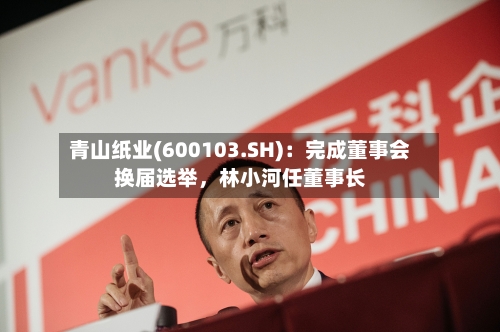 青山纸业(600103.SH)：完成董事会换届选举，林小河任董事长-第1张图片