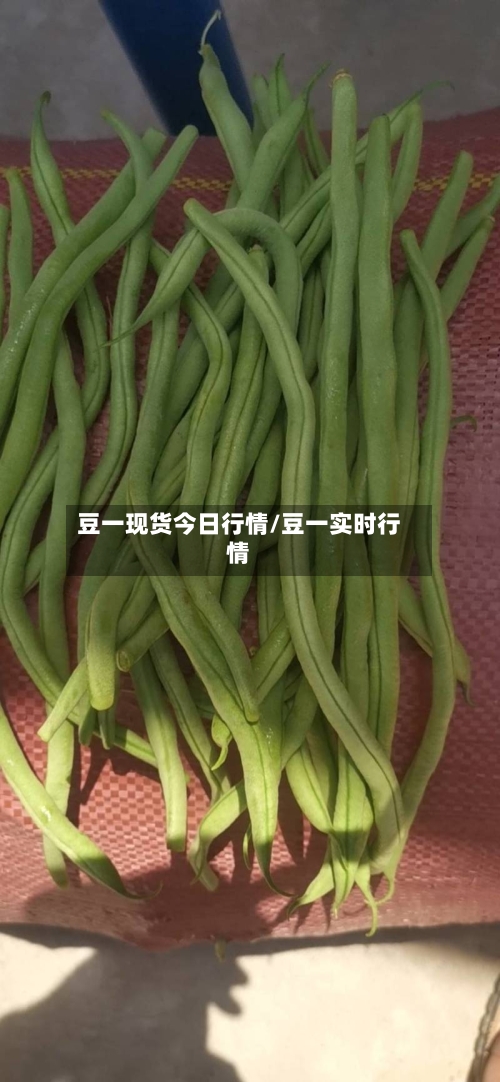 豆一现货今日行情/豆一实时行情-第1张图片