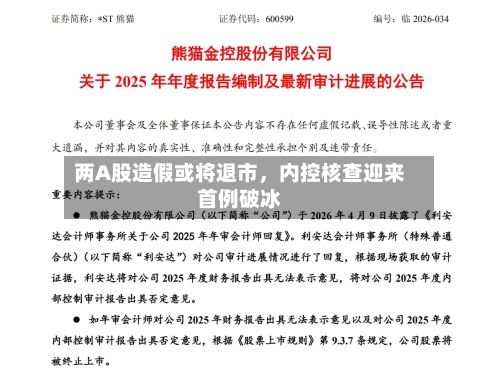 两A股造假或将退市，内控核查迎来首例破冰-第1张图片