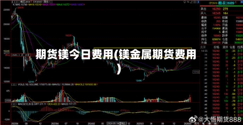 期货镁今日费用(镁金属期货费用)-第1张图片