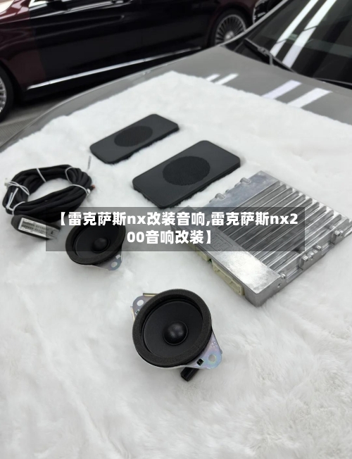 【雷克萨斯nx改装音响,雷克萨斯nx200音响改装】-第2张图片