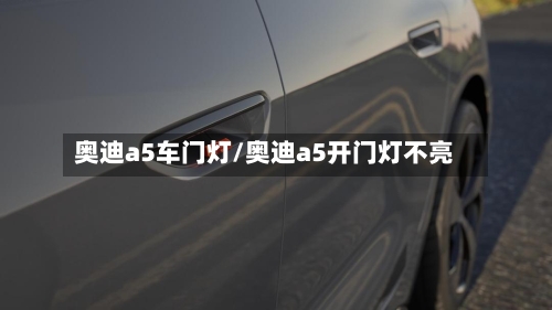 奥迪a5车门灯/奥迪a5开门灯不亮-第2张图片