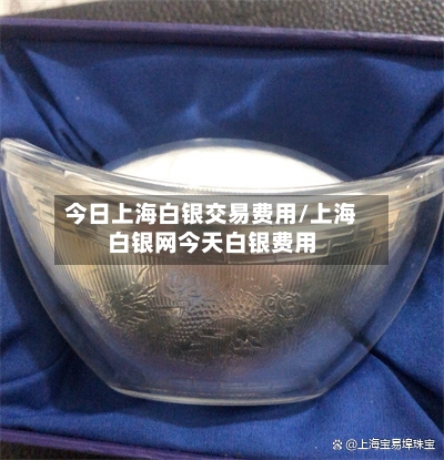 今日上海白银交易费用/上海白银网今天白银费用-第3张图片