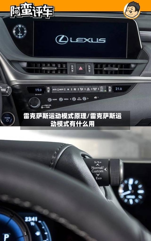 雷克萨斯运动模式原理/雷克萨斯运动模式有什么用-第1张图片