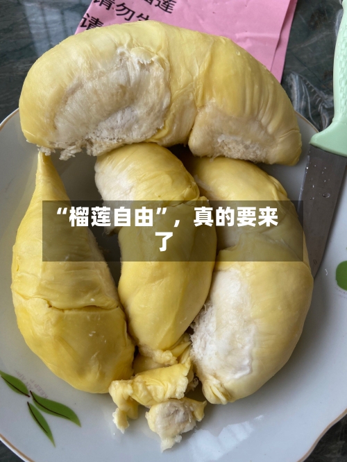 “榴莲自由”，真的要来了-第2张图片