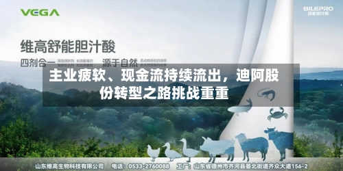 主业疲软	、现金流持续流出，迪阿股份转型之路挑战重重-第2张图片