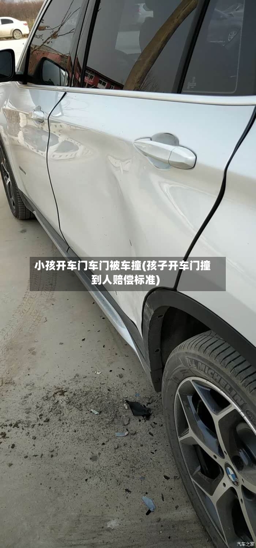 小孩开车门车门被车撞(孩子开车门撞到人赔偿标准)-第3张图片